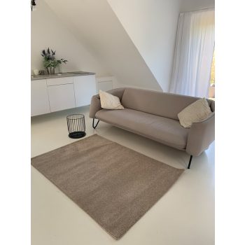 Montana s krátkym vlasom, béžový koberec 120x170