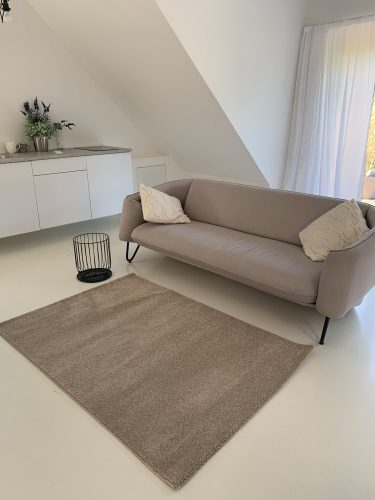 Montana s krátkym vlasom, béžový koberec 120x170