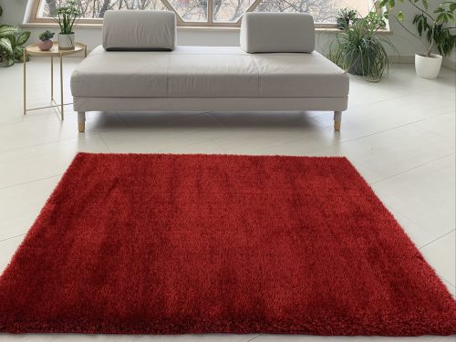 Dream shaggy červený koberec 120x170 cm