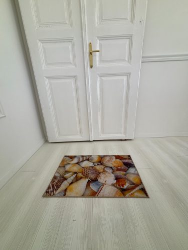 Rohož na nečistoty – mušle 50x80 cm