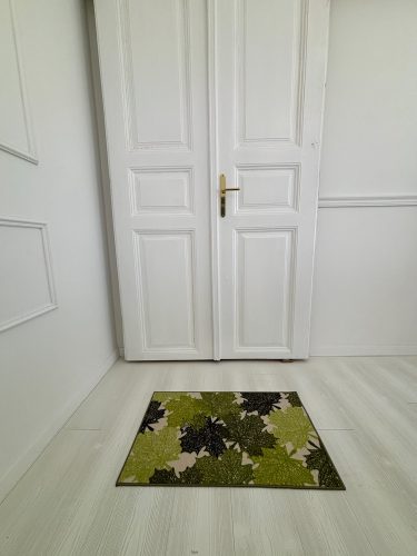 Rohož na nečistoty s listovým vzorom 50x80 cm