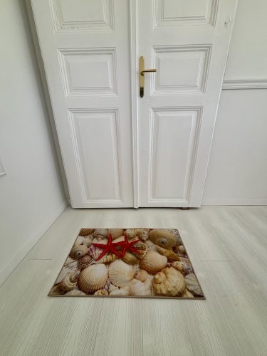 Rohož na nečistoty – hviezdica, mušle 50x80 cm
